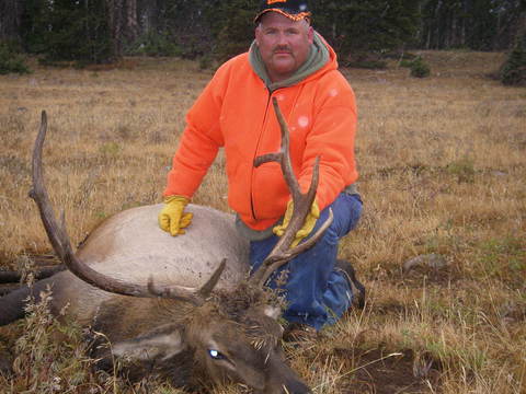 Daves Uintas Elk